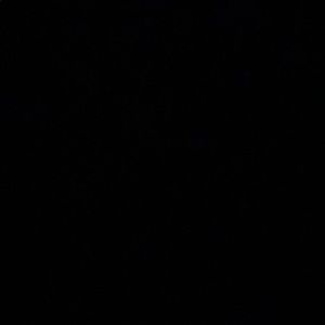 Meet your Posher, Alison